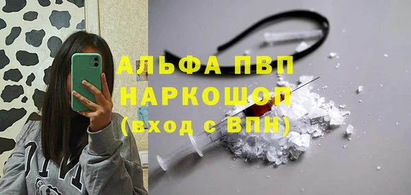 индика Лиски