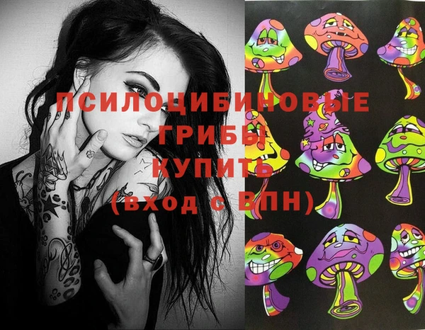 индика Лиски