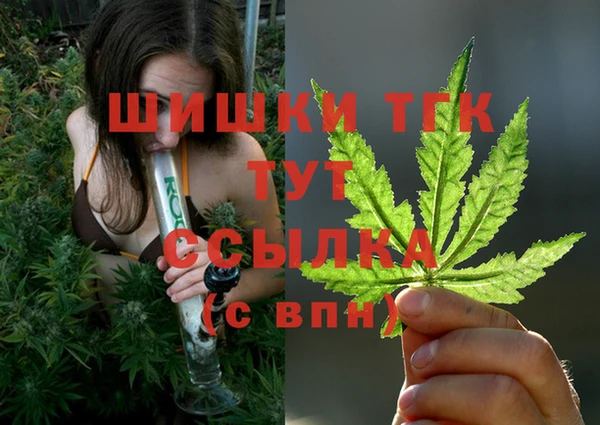 индика Лиски