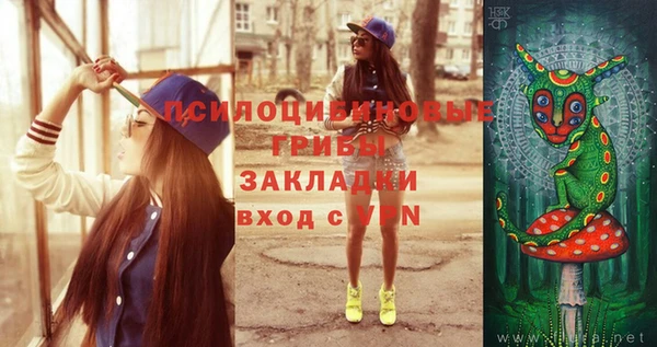 МДПВ Лихославль