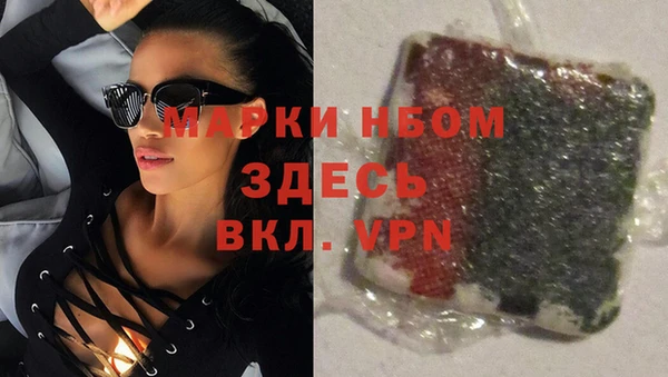 хмурый Липки