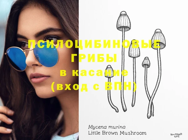 индика Лиски