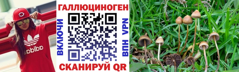 где купить   Нижняя Салда  Галлюциногенные грибы ЛСД 