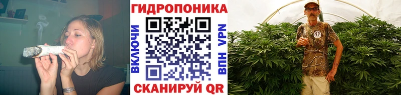 kraken вход  Нижняя Салда  Марихуана тримм 